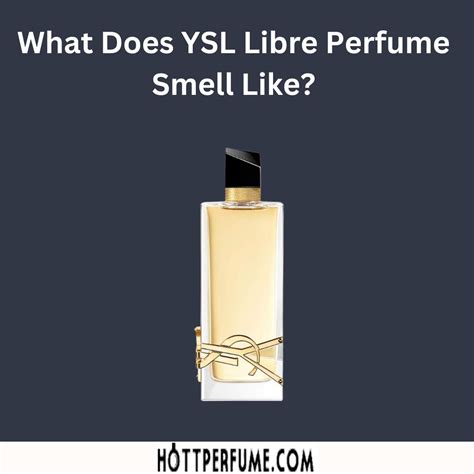 buy ysl cologne|what does ysl smell like.